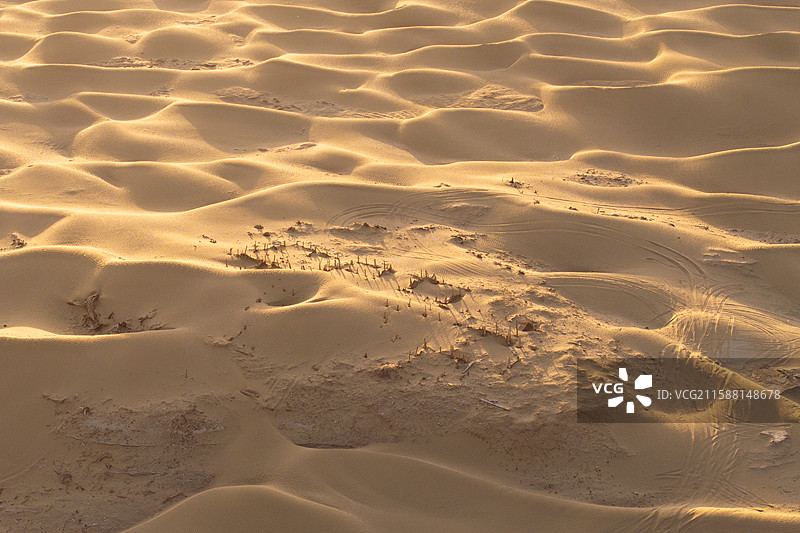 新疆-和田地区-策勒县-丹丹乌里克遗址图片素材