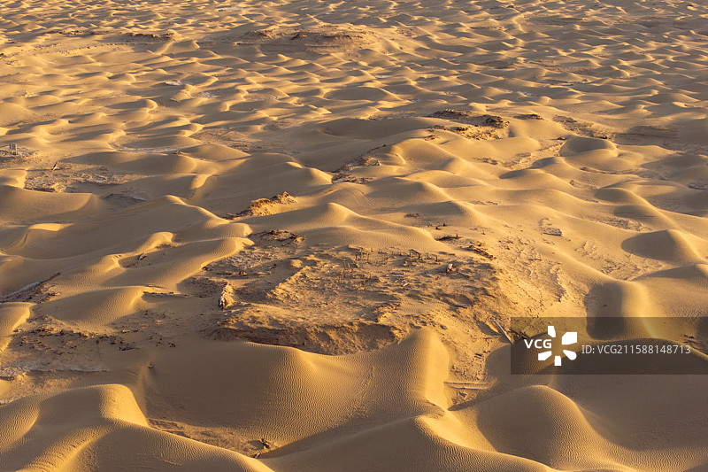 新疆-和田地区-策勒县-丹丹乌里克遗址图片素材