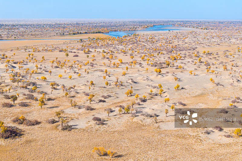 新疆-和田地区-于田县-塔克拉玛干沙漠中的克里雅河和沿岸的沙漠绿洲图片素材