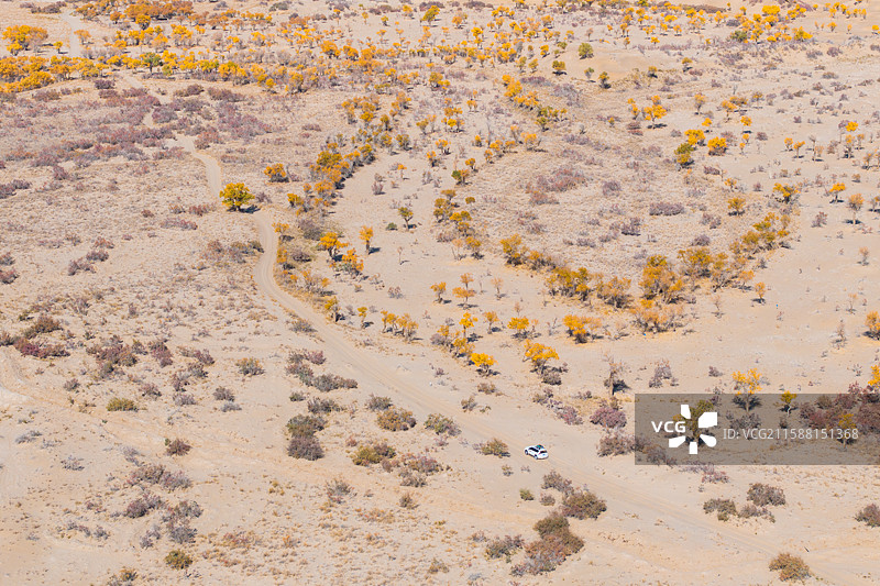 新疆-和田地区-于田县-塔克拉玛干沙漠中的克里雅河和沿岸的沙漠绿洲图片素材