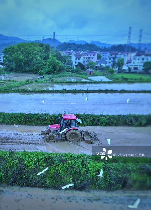 在乡村田园里春耕图片素材