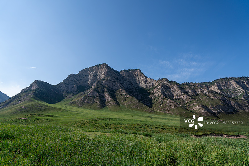 武威冰沟河马兰花草原图片素材