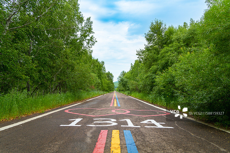 1314爱情森林彩虹公路，额尔古纳市白桦林景区图片素材