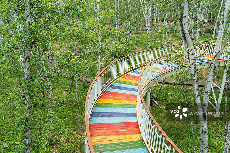 额尔古纳市白桦林景区彩虹栈道图片素材