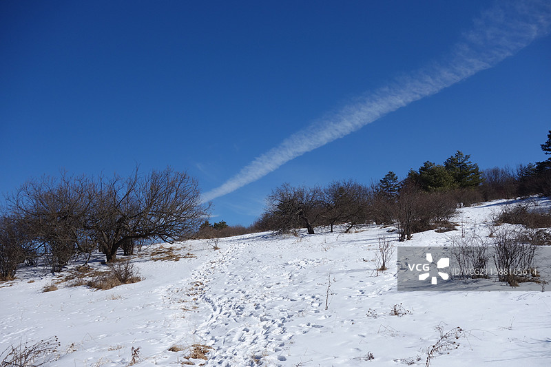 陕西省安康市宁陕县秦岭平河梁国家森林公园图片素材