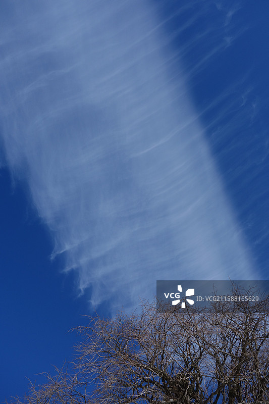 陕西省安康市宁陕县秦岭平河梁国家森林公园图片素材