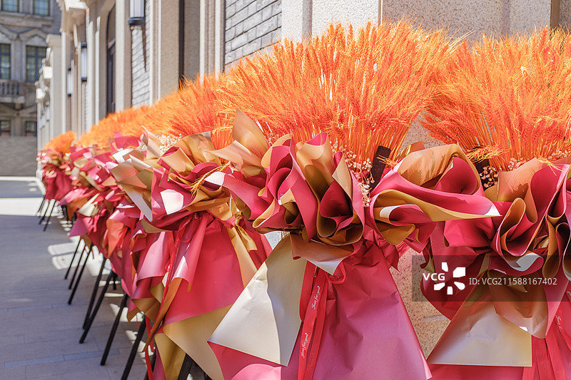 金秋麦穗艺术装饰图片素材