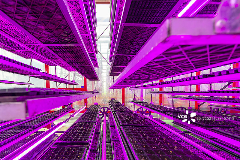 室内垂直农场新景象图片素材