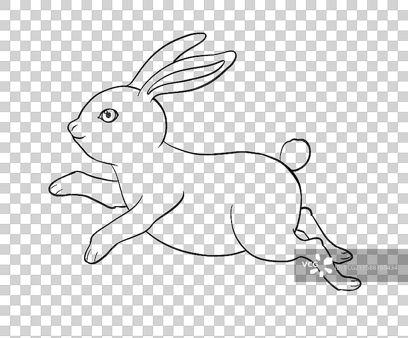 兔子月兔玉兔兔年中秋节动物手绘卡通插画元素线稿图片素材