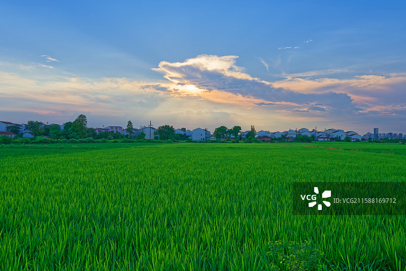 南昌古塔镇田园风光图片素材