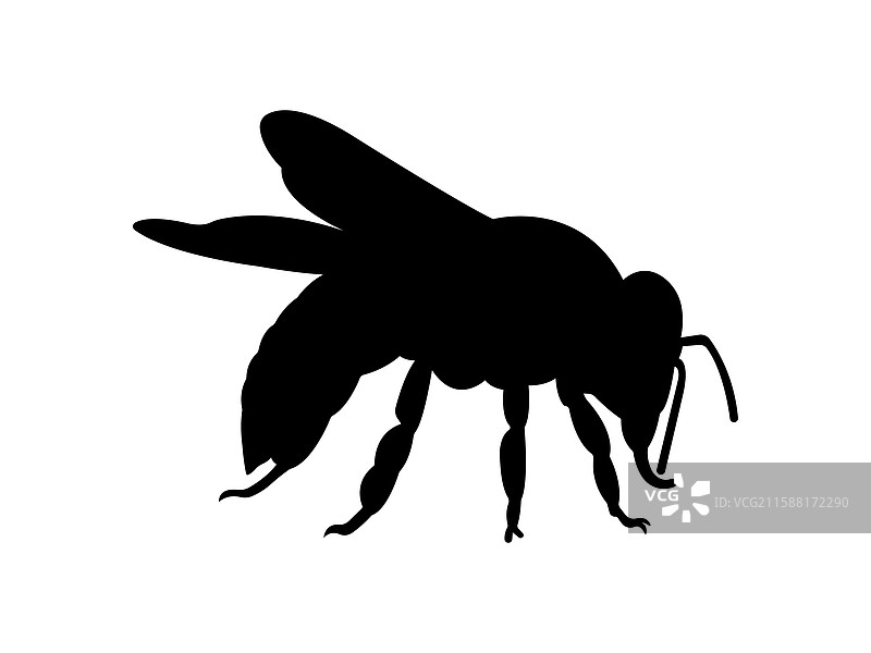 侧面轮廓的蜜蜂剪影图片素材