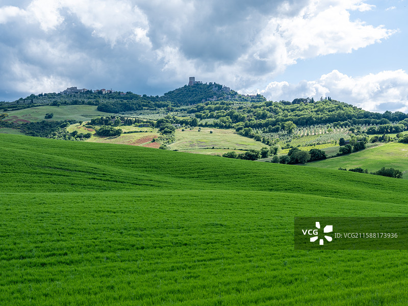 意大利托斯卡纳丝柏树麦田草场小耳朵教堂图片素材