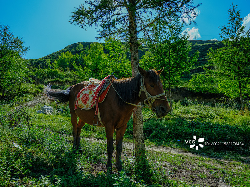渭源县遮阳山峡谷风光图片素材