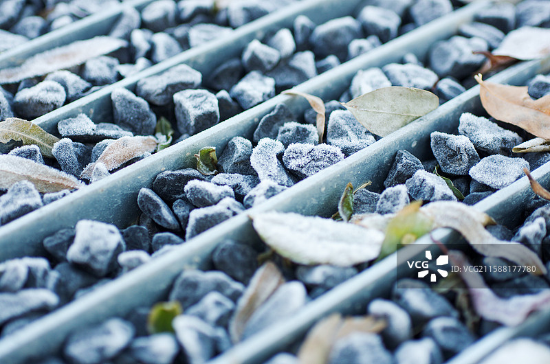 结霜的石头与落叶全帧画面，霜降节气，城市户外景观，静物特写，纹理质地寒冷潮湿图片素材