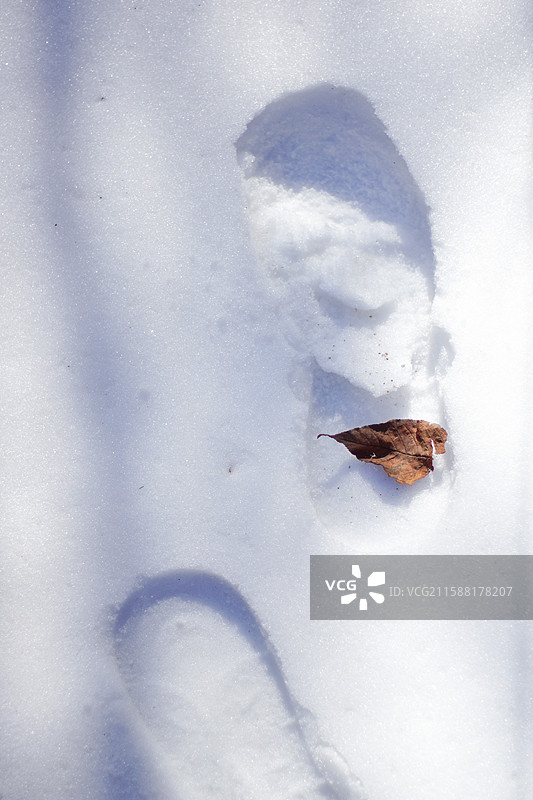 雪地上的脚印与落叶，冬季户外风光，素材背景，积雪雪地出行人图片素材