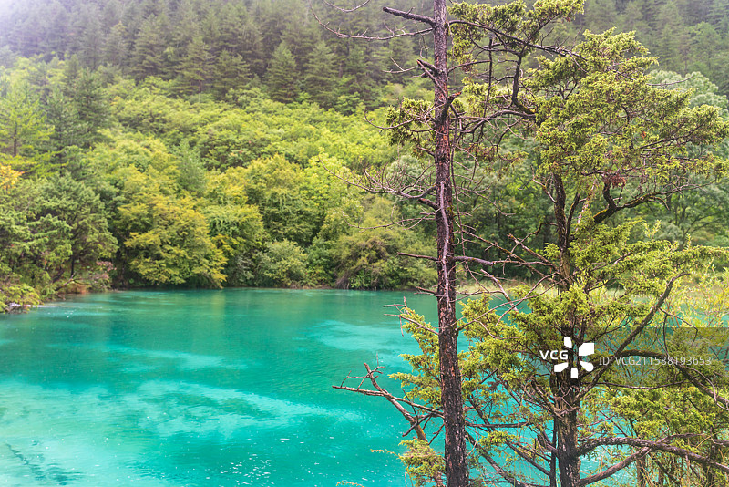 九寨沟卧龙海风景图片素材