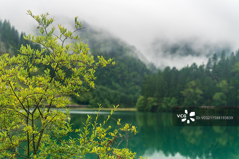 九寨沟熊猫海风景图片素材