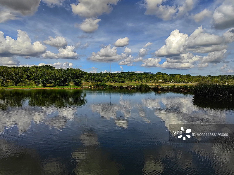 九围湿地公园 深圳宝安，九围湿地公园，绿意盎然，风景宜人，有诸多候鸟。为城市漫步打卡地。图片素材