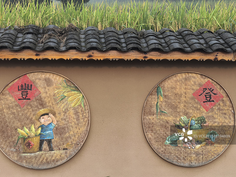 房上的稻田图片素材