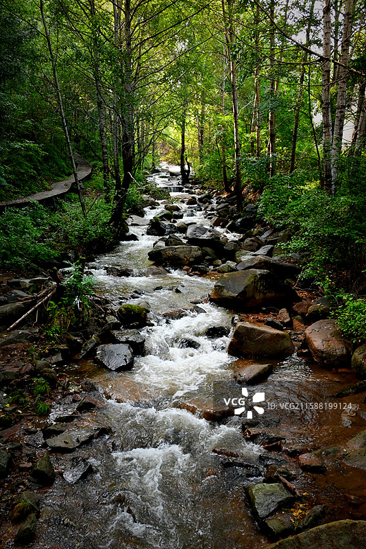原始森林  赤峰宁城道须沟旅游风景区图片素材