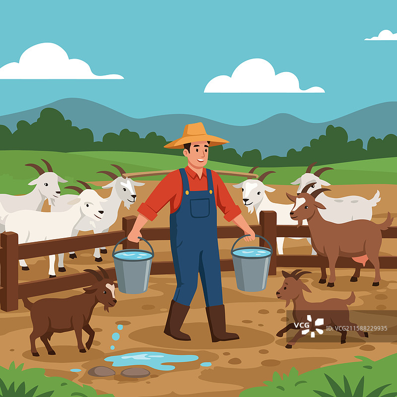 农民在农场里为山羊提水桶图片素材