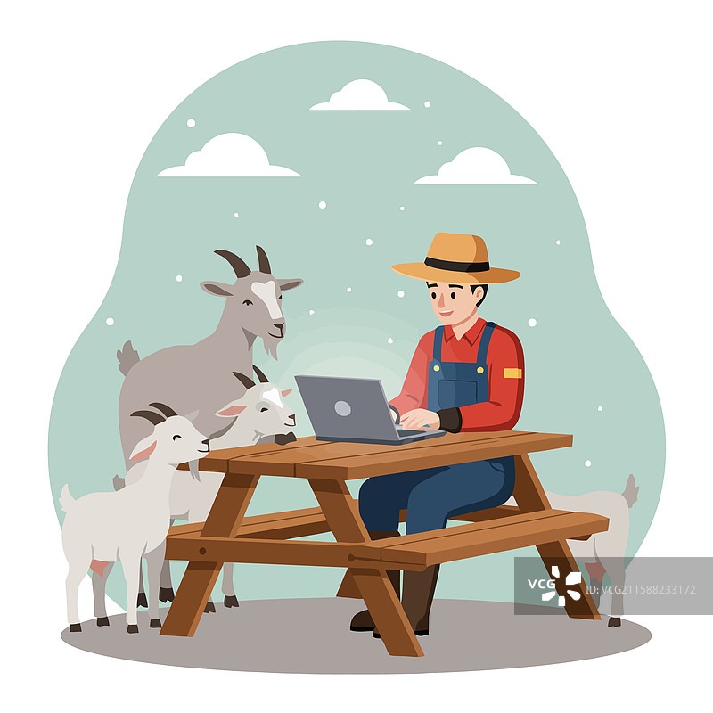 农民在野餐桌上使用笔记本电脑，旁边有山羊。图片素材