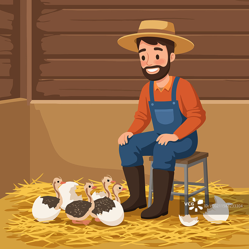 农民坐着观看小鸟孵化图片素材