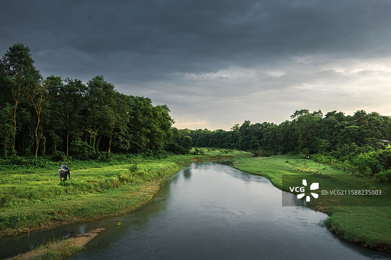 骑大象游览尼泊尔奇特旺国Jungle Safari in Chitwan National Park图片素材