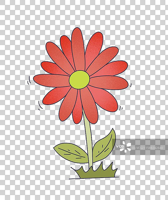 花朵，花卉，装饰植物图片素材