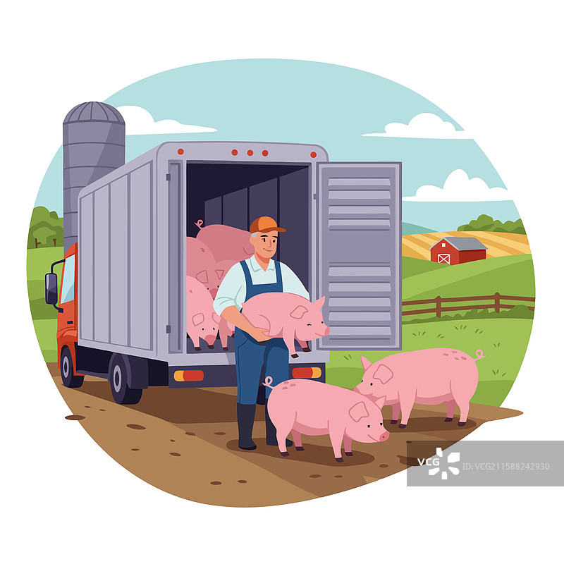 农民在农场上从卡车上卸下粉色的小猪图片素材