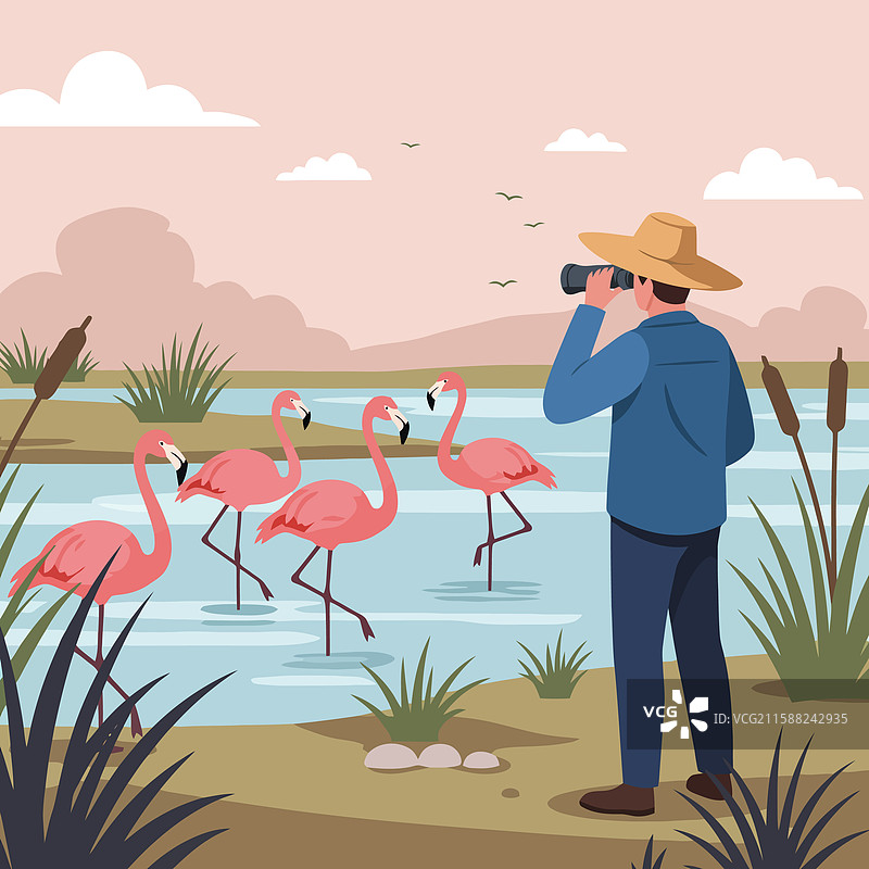 使用望远镜观察火烈鸟的人图片素材