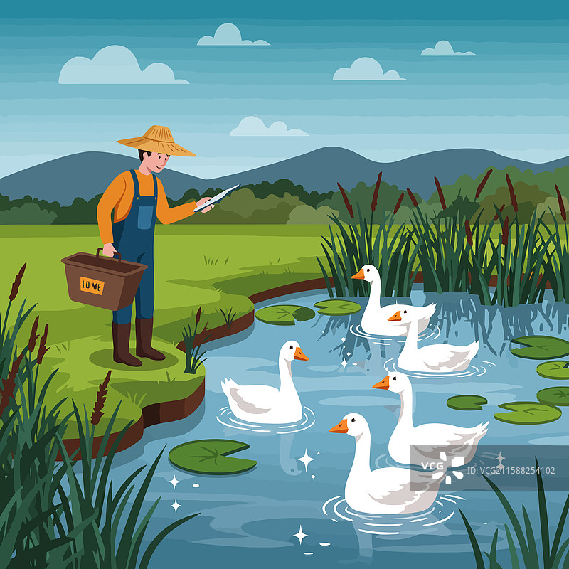 农夫在田园风光中的池塘边喂鹅图片素材
