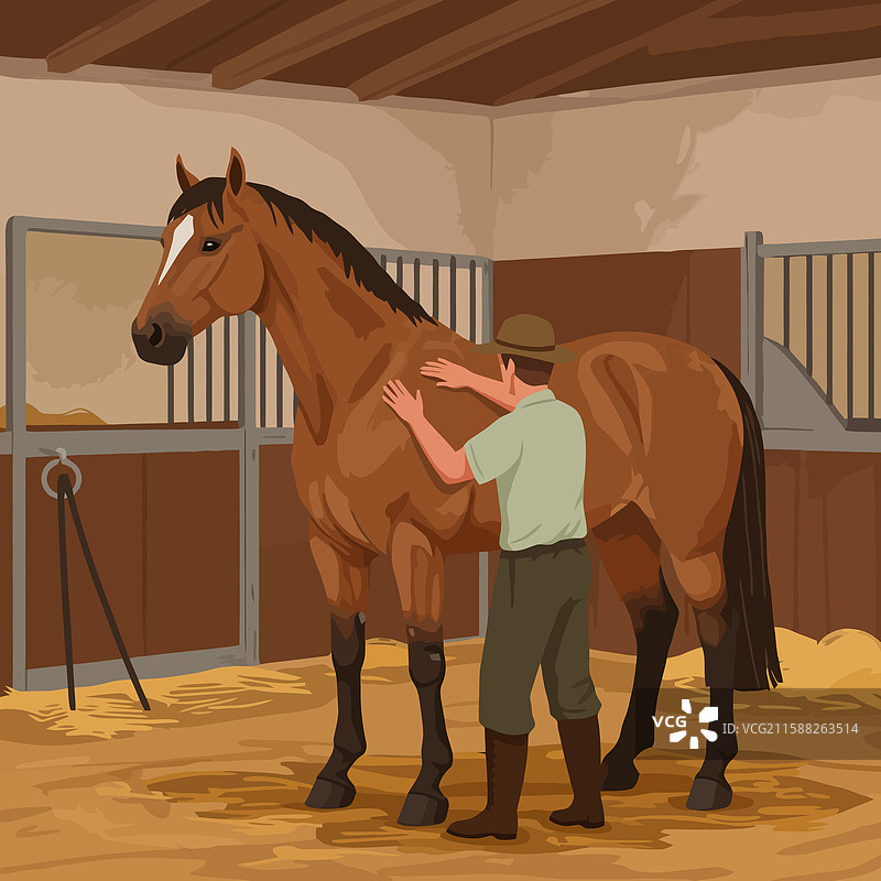 在马厩里照顾马匹的男人图片素材
