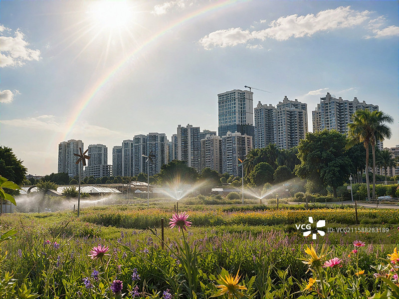 南宁市花卉公园美景图片素材