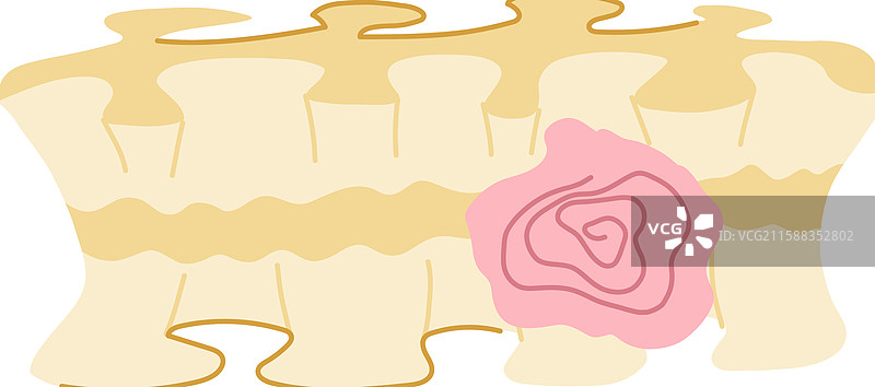 婚礼卡通中的吊袜带图片素材