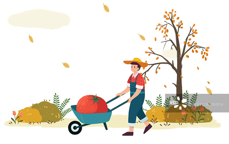 治愈系插画秋天一个男人推着丰收的西红柿图片素材