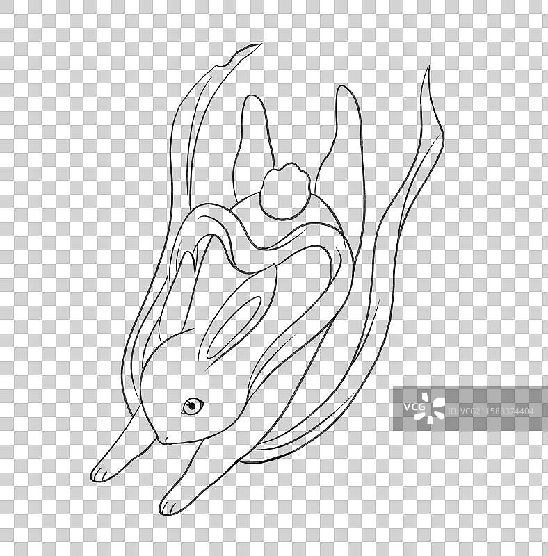 兔子月兔玉兔兔年中秋节动物手绘卡通插画元素线稿图片素材