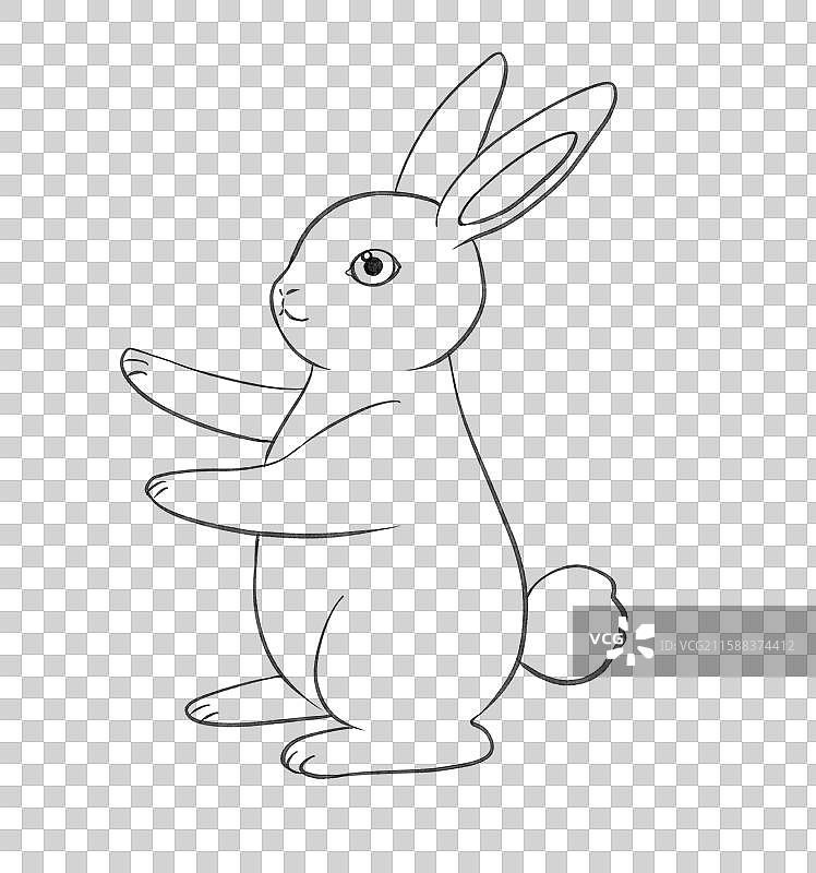 兔子月兔玉兔兔年中秋节动物手绘卡通插画元素线稿图片素材