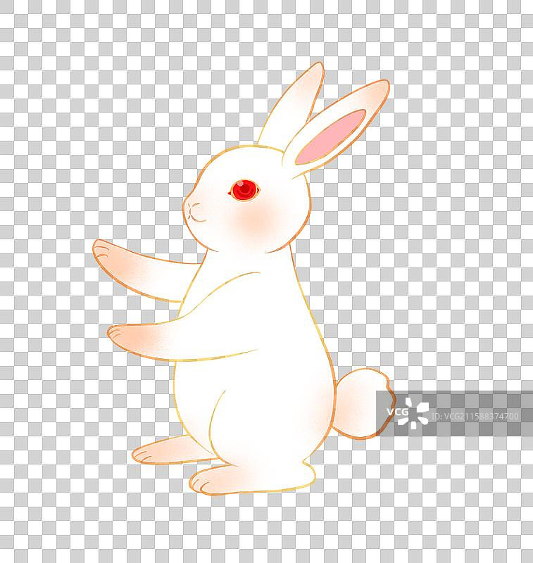 兔子月兔玉兔兔年中秋节动物手绘卡通插画元素图片素材