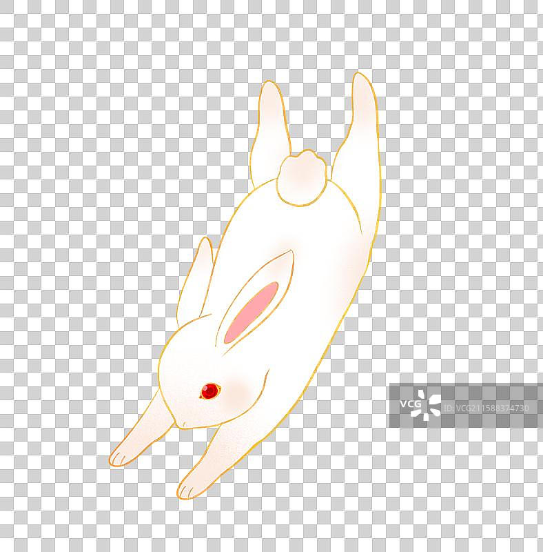 兔子月兔玉兔兔年中秋节动物手绘卡通插画元素图片素材