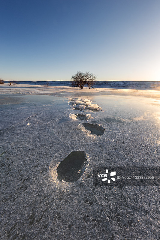 内蒙乌兰布统的冬季雪景，雪地背景，冰面背景，冰花，寒冷，立冬图片素材
