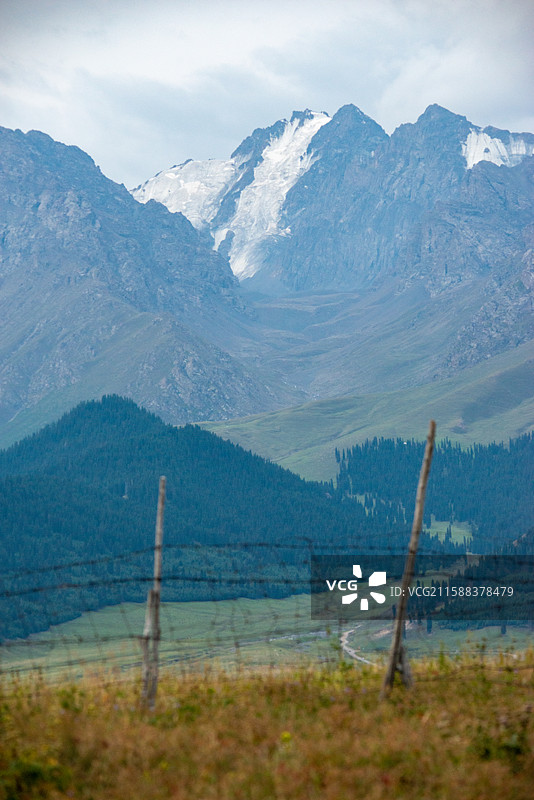 鹿角湾风景区草原竖构图的风光图片素材