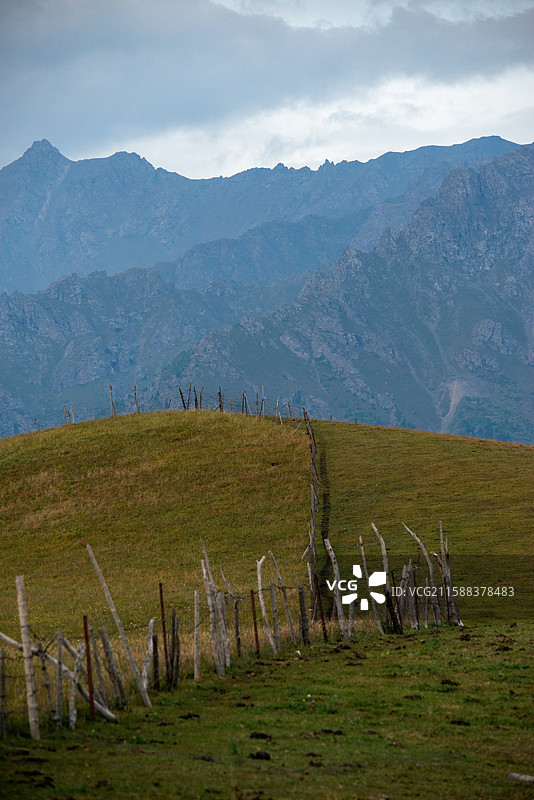 鹿角湾风景区草原竖构图的风光图片素材