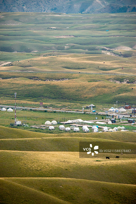鹿角湾风景区草原竖构图的风光图片素材