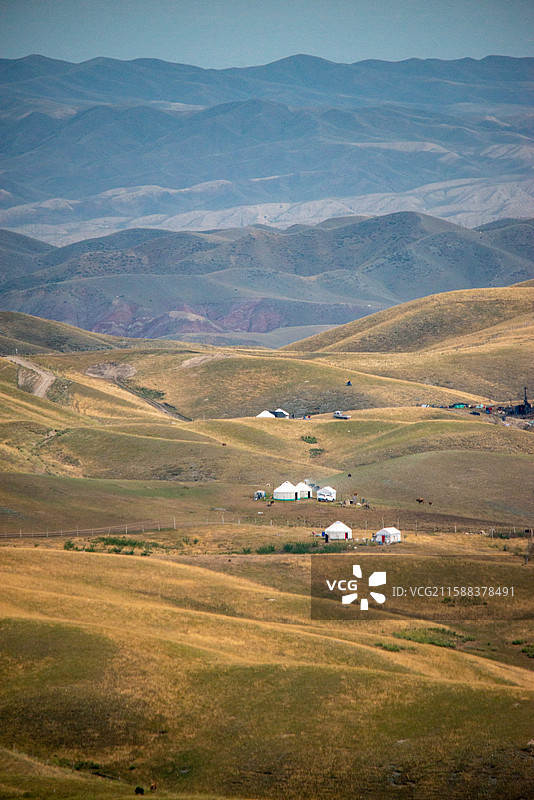 鹿角湾风景区草原竖构图的风光图片素材