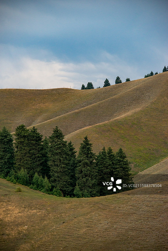 鹿角湾风景区草原竖构图的风光图片素材