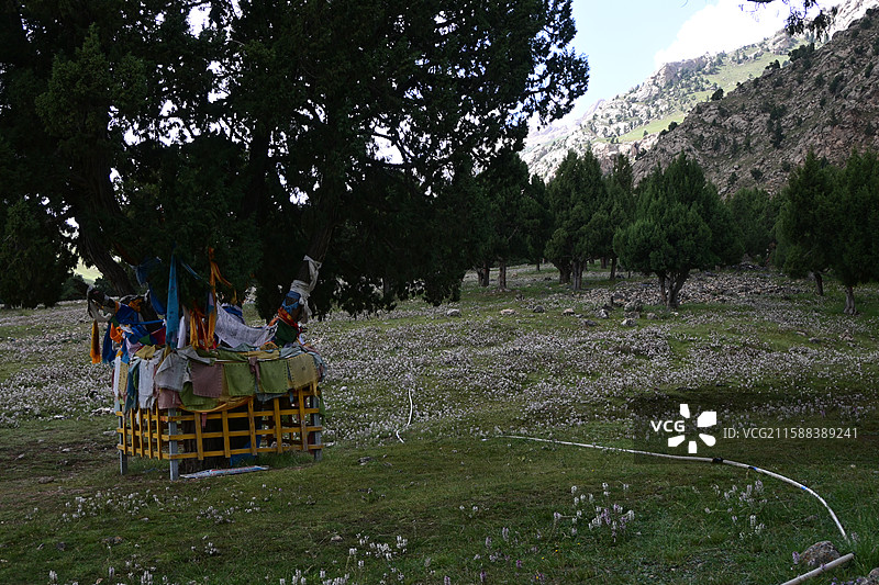 德令哈 柏树山图片素材