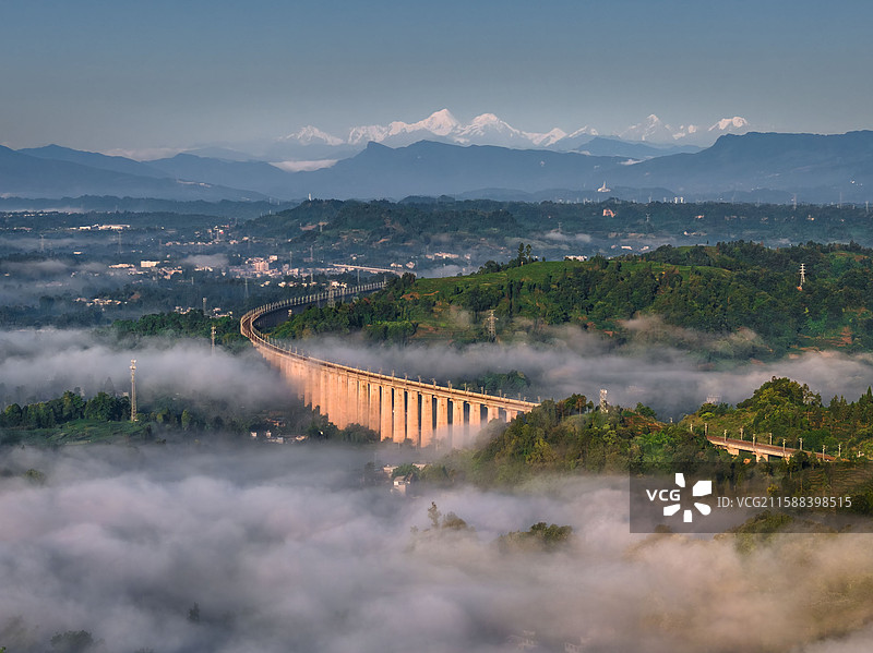 雅安名山茶园图片素材