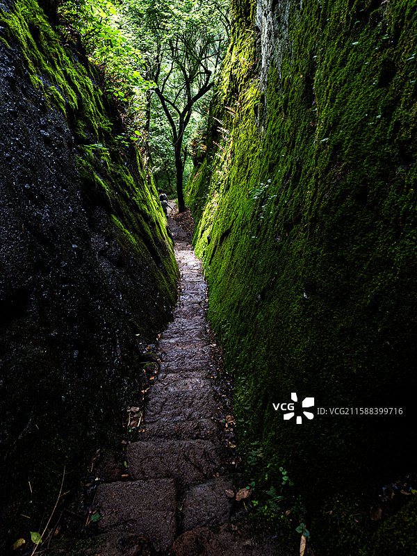 武夷山自然风光图片素材