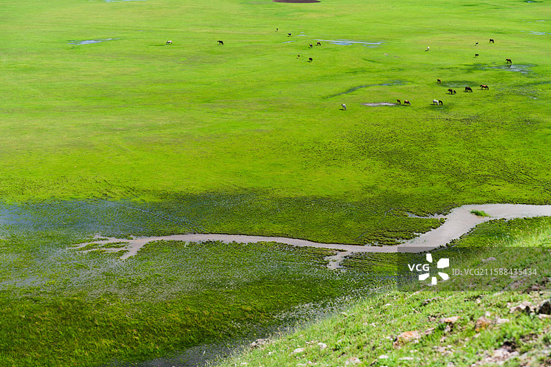 夏季呼伦贝尔莫尔格勒河龙形之流和草原肌理，高视角航拍骏马在草原上吃草图片素材